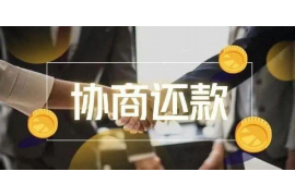 香洲企业清欠服务
